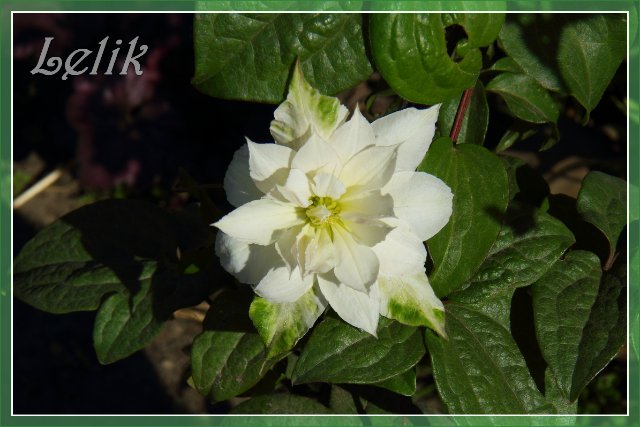 Цветочный рай, или новый наряд Ульяны (Pipa 2003 года, Gotz) | Бэйбики Цветочный рай, или новый наряд Ульяны (Pipa 2003 года, Gotz) (фото 4)