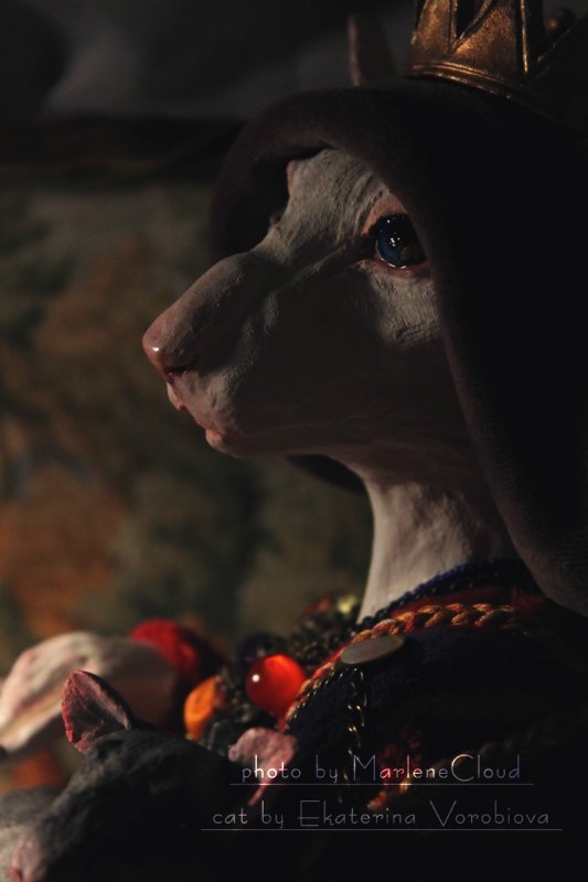 Dolche Evol De Melodica — Авторские работы в частных коллекциях: домашние фото кукол и игрушек (фото 7)