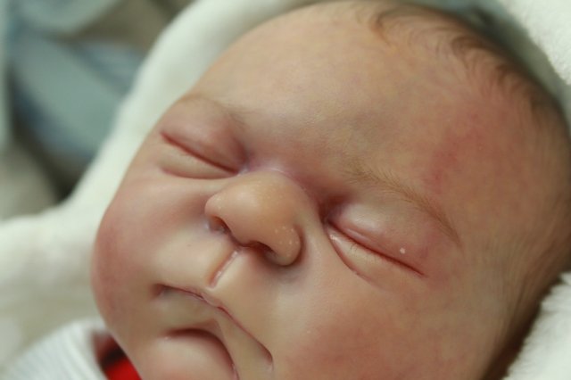 Фотоотчёт №1 с выставки кукол декабрь2014 от Элины Кудрявцевой | Бэйбики Фотоотчёт №1 с выставки кукол декабрь2014 от Элины Кудрявцевой