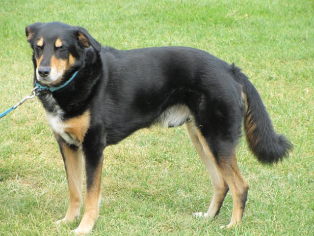 "Моя Италия". Часть 3 - Виареджо, Лукка, Пиза