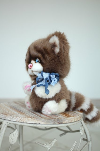 Голубоглазый котик-обормотик Мишка (фото 5)