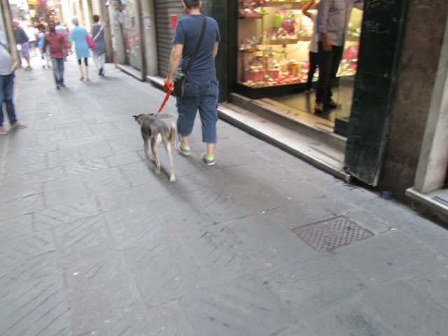 "Моя Италия". Часть 1 - Генуя