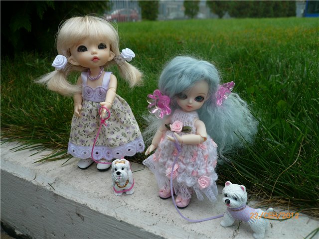 Сосенка Пин. Уютное гнездышко (фото 9)