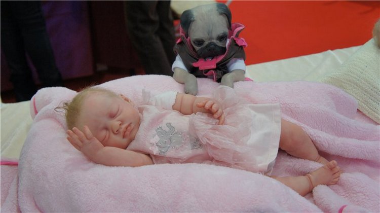 Выставка в Лейпцеге Modell-hobby-spiel 2012