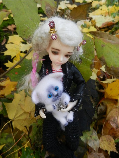 Возвращение Элизы (БЖД от Планетдолл) (фото 10)