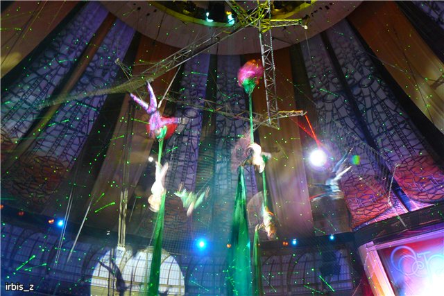 Вот так чудеса или как Ариэль в Большой Московский Цирк ходила. PukiFee Ante Ариэтти, PukiFee Bonnie Ариэль