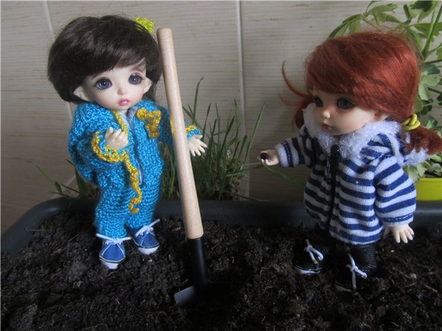 "Мастер-класс" по посадке огорода