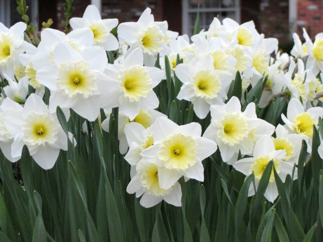 Спешите! Показ одежды "Весна-Осень 2013 г." для кукол Galoob — Baby Face (часть 3)