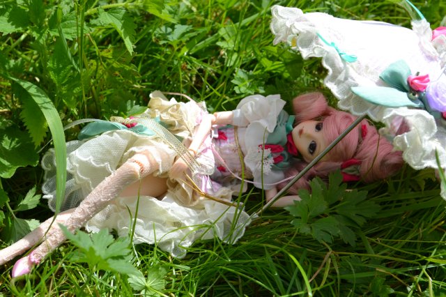 Девушка-пион: джеечка La Rue de Rivoli (J-doll)