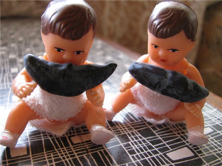 Любите ли вы жимолость как любят ее мои пупсики (фото 10)