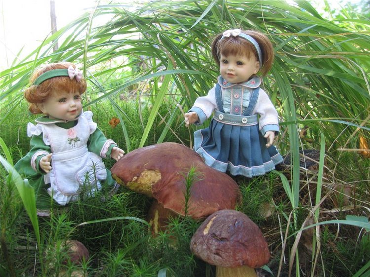 Жизнь моих маленьких Адорок (фото 3)