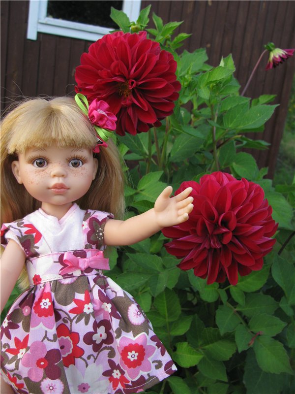 Как Антонио невесту выбирал | Бэйбики Как Антонио невесту выбирал (фото 4)