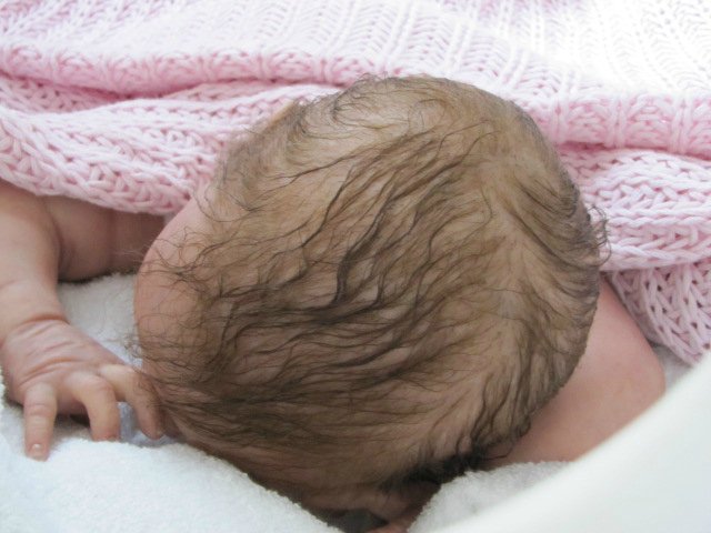 Крошка Рози. Кукла реборн из одноименного молда (фото 4)