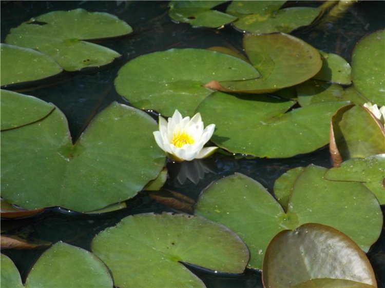 Город детства - Аша — Туризм и путешествия: фотоотчеты из поездок