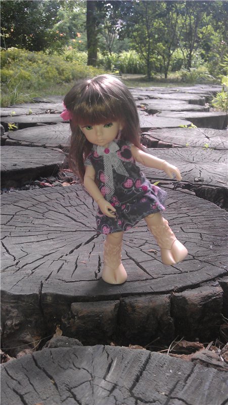 Маленький парк — Куклы Dollzone (Доллзон): BJD (БЖД)