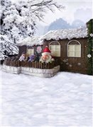 Закрыто. Совместная закупка фонов для фотографирования кукол (фото 4)