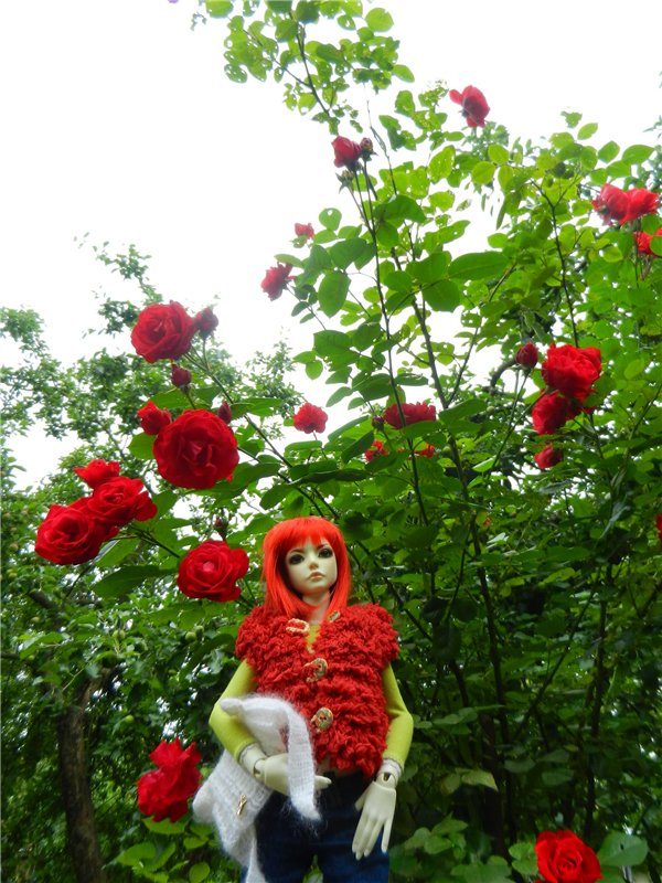 Сборная солянка (Любимые БЖД)