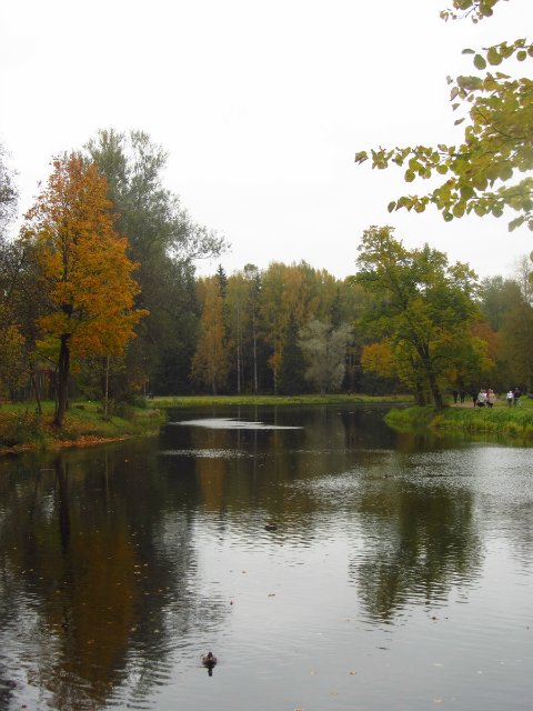 Забреду сегодня в парк осенний (фото 10)