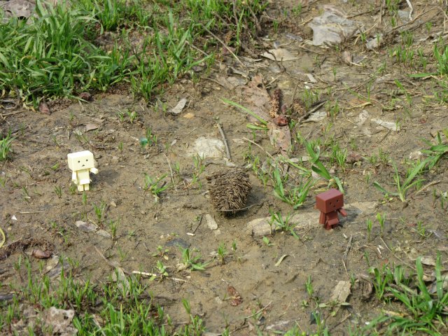 Юные кладоискательницы, или Офелия и Луни развлекаются