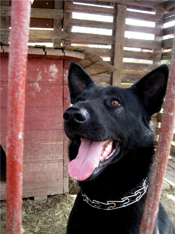 С праздником! Наше жёлторотое пополнение