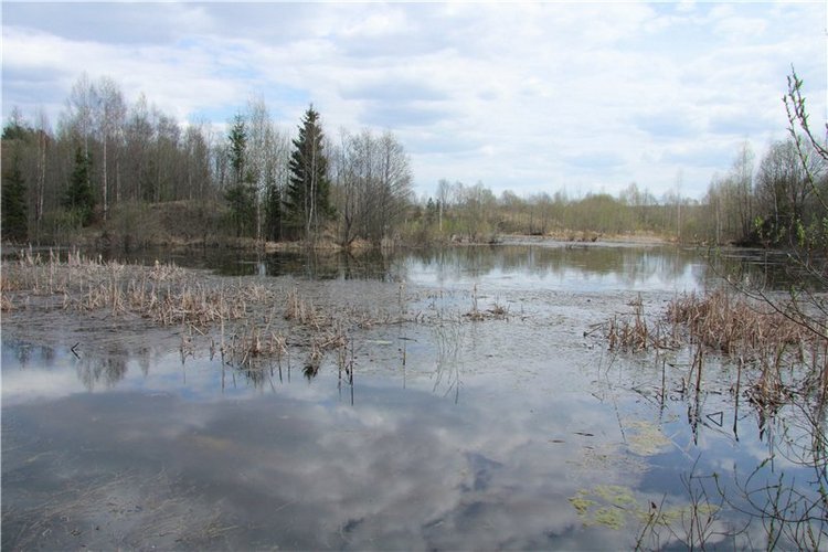 На водопад с Райли. Riley от автора Helen Kish (фото 7)