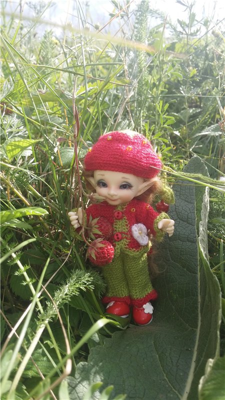 Земляничный день — Домашние коллекции кукол: фото собраний (фото 10)