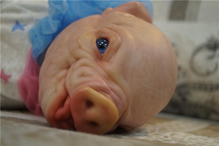 Пухля в новом образе-свинка реборн Рязановой Елены (фото 3)