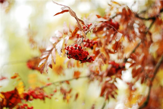 И ещё на тему последнего конкурса | Бэйбики И ещё на тему последнего конкурса (фото 4)