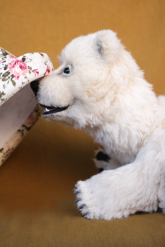 Нолан полярный медвежонок. Авторские игрушки ручной работы Татьяны Матляк