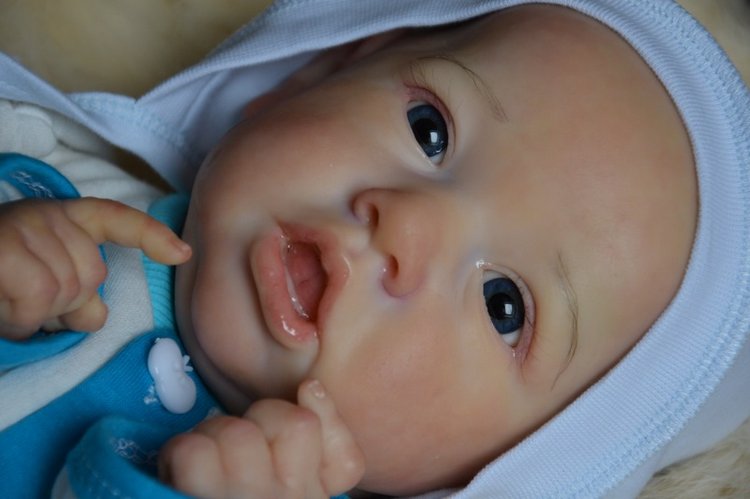 Еще одна Саксия... Еще один пацанчик