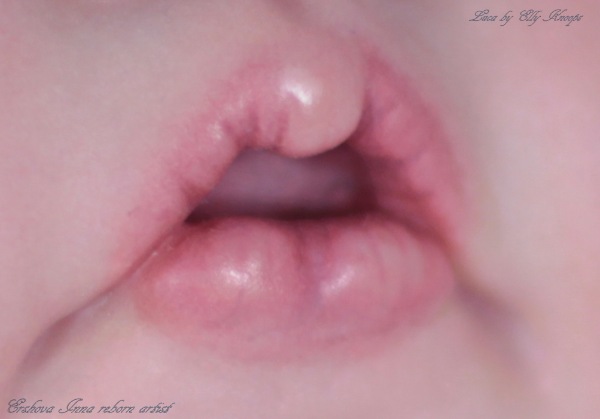 Лука, кукла реборн Инны Ершовой, молд реборн Luca by Elly Knoops (фото 4)