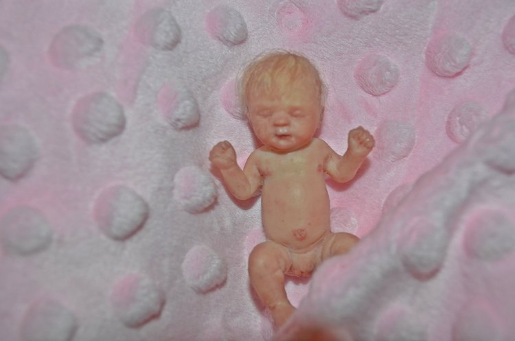 Любимка в румбоксе - как сбываются мечты (фото 3)