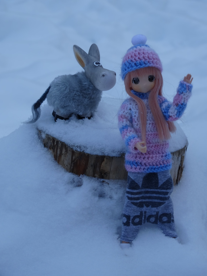 Банни и её ослик — Аниме куклы (MJD/Винил): Imomo (фото 7)