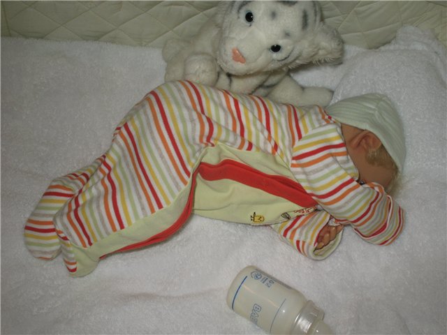 Тимошенька — Куклы Gerlinde Feser (Герлинда Фезер): Schildkrot (фото 5)