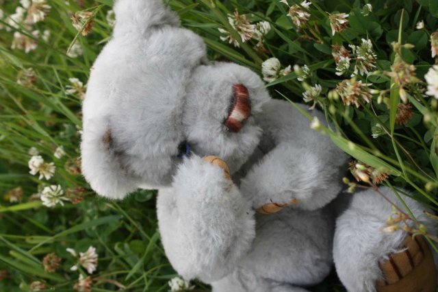 Киана, Шанталь Gotz и их новый друг Мирли