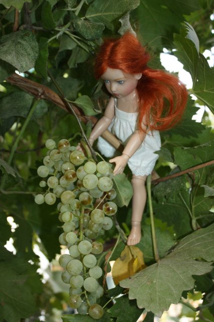 Один день из жизни цветочной феи. Бетани от Helen Kish | Бэйбики Один день из жизни цветочной феи. Бетани от Helen Kish