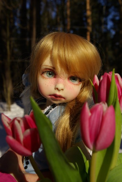 Алиса Льюиса Кэрролла или Алиса Ким Лашер?! Просто Алиса