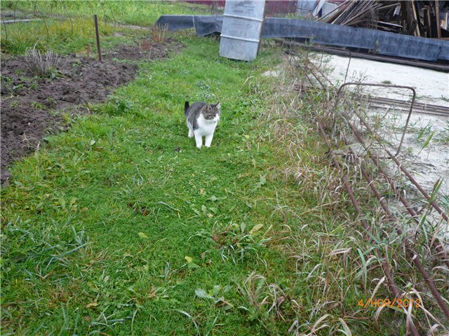 Кукла Адора - мое Солнышко