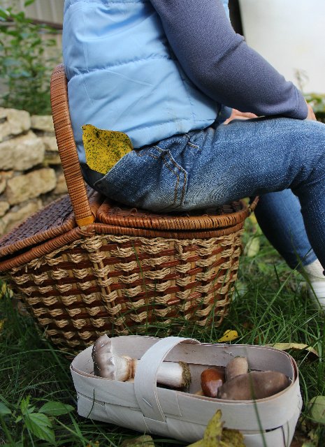 Весь день стоит как бы хрустальный, и лучезарны вечера... Куклы реборн Елены Ядриной