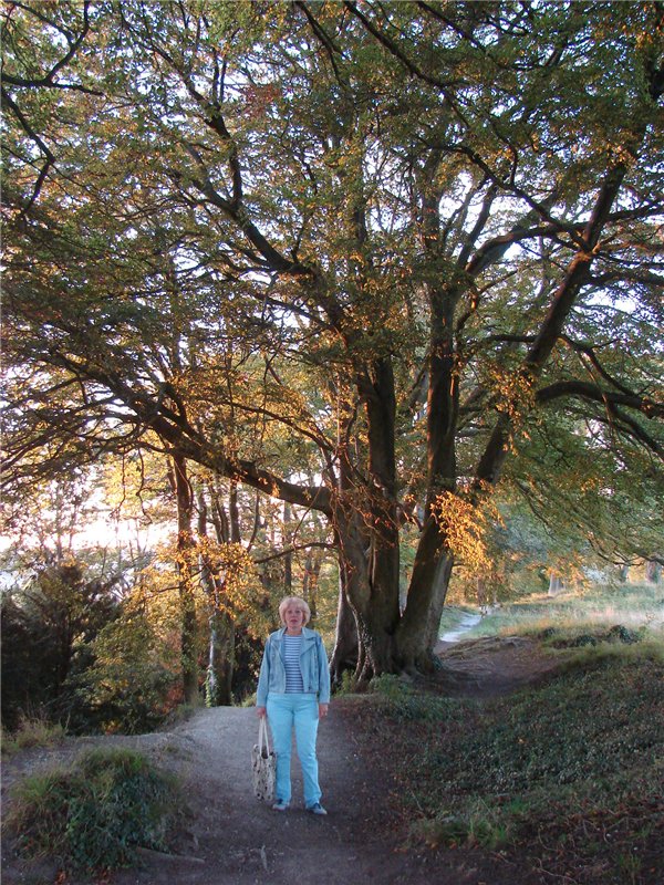 Старый Сарум (старый город)