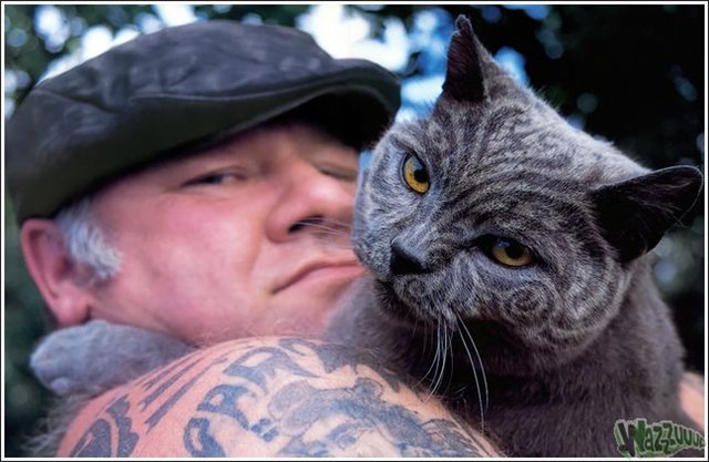 Кошачий позитив — Интересное и необычное: фотоподборки