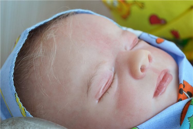 Сонное царство. Куклы реборн Пшеницыной Юлии