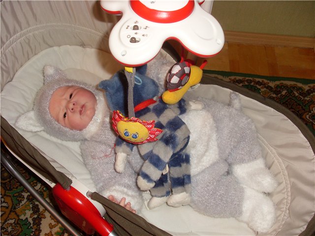 Кошачий барин. Кукла реборн Елены Андреевой (фото 2)