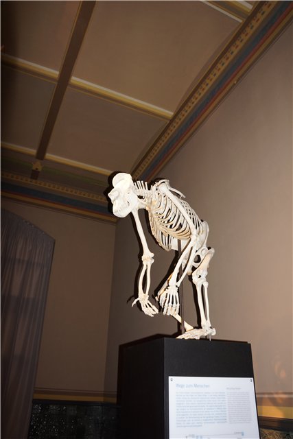 Взятие Берлина. Часть 3. Аква-дом, Улыбка бегемота и Прототип куколок Шильдкрот