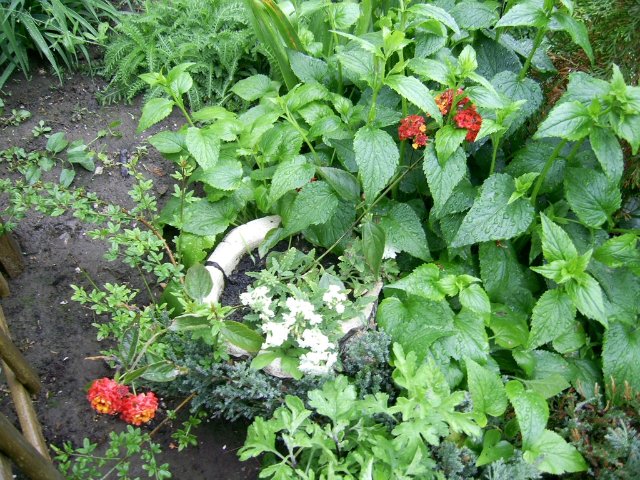 Прогулка между каплями дождя :) Коллекционная кукла Пиппина от Сюзан Липпл