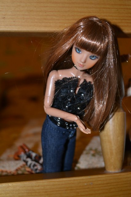 Что делают куклы, когда нас нет... (Коллекция J-dolls)