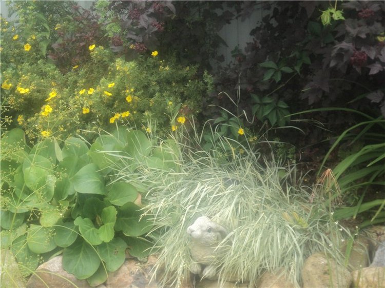 Ждем лета и верим в чудо! Куклы Готц и наряды