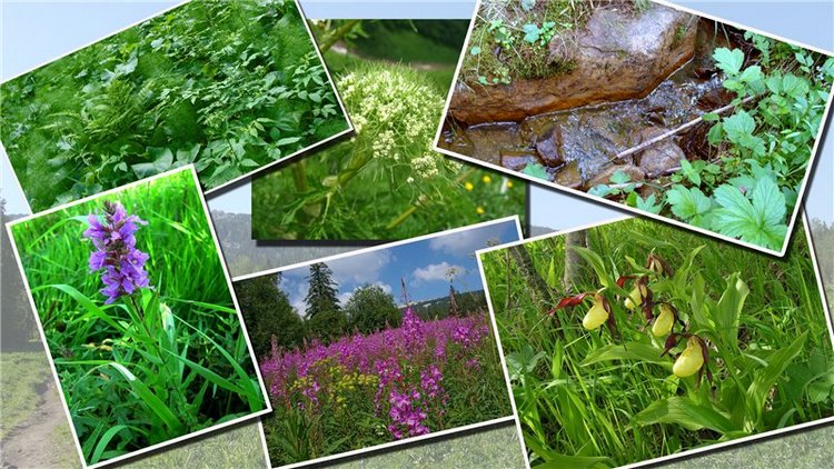 Национальный парк "Зюраткуль". ( 1ч. Хребет "Зюраткуль")