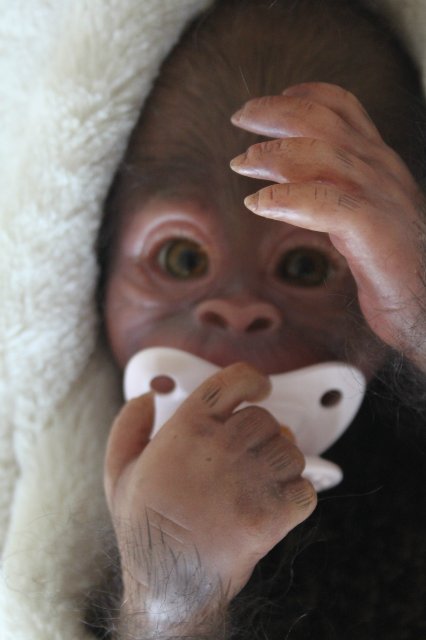 Обезьянка Bindi кукла реборн Элины Кудрявцевой