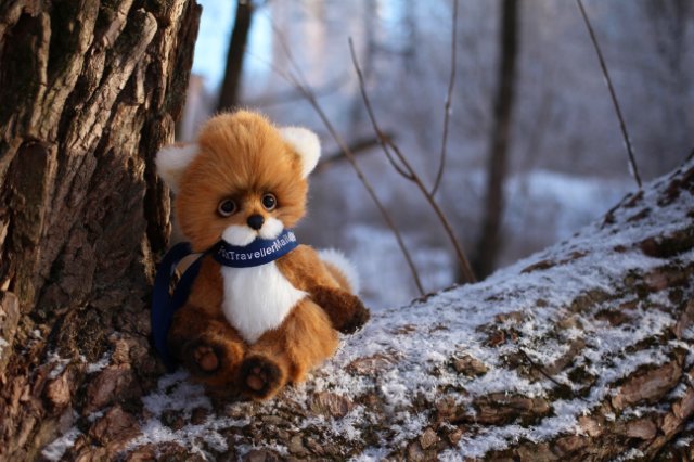 Создание лисёнка — Авторские мишки Тедди и друзья: фото